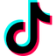 TikTok Ads